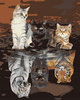 Diamentowa Mozaika Haft Diamentowy Kotki I Tygrysy 30x40