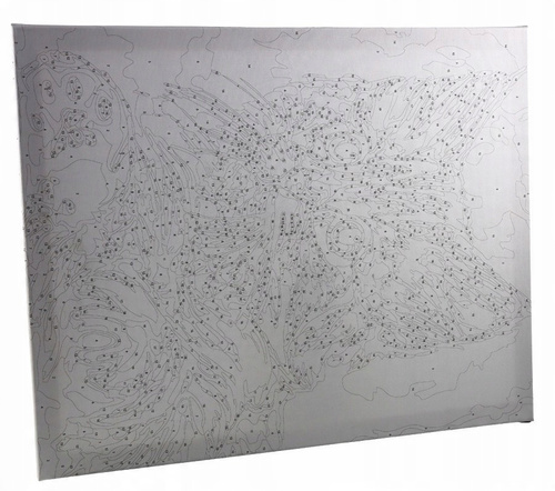 Malowanie Po Numerach Przy Choince 40X50