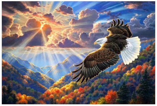 Diamentowa Mozaika Latający Orzeł W Chmurach 30x40Cm Kreatywne Diamenty