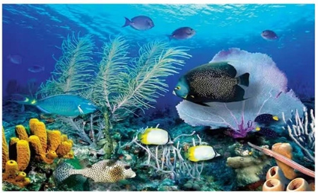 DIAMENTOWA MOZAIKA HAFT DIAMENTOWY PODWODNE OCEANARIUM 80X40CM