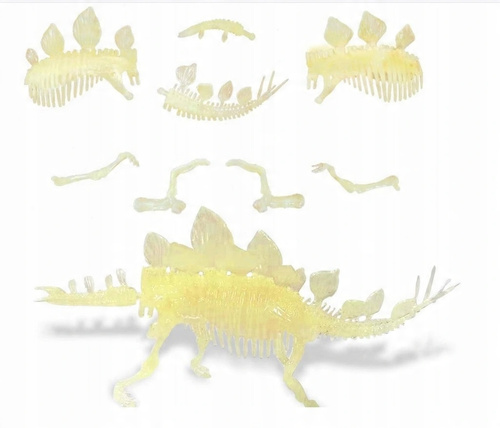 Skamielina Fluor Dinozaur Szkielet Stegozaur 3D