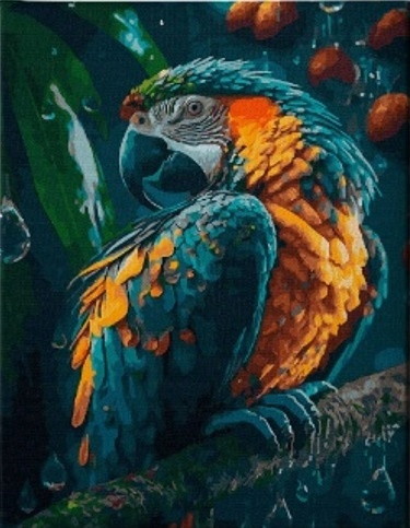 Diamentowa Mozaika Papuga W Deszczu Haft Kreatywny 30x40 Cm