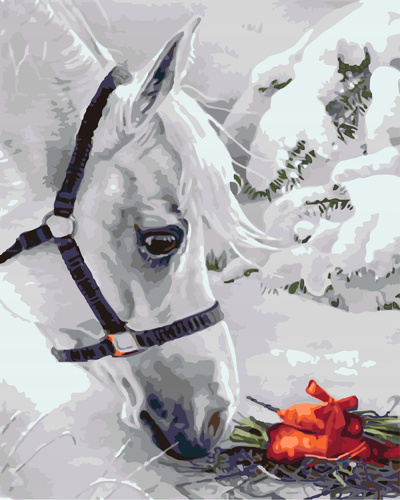 Malowanie Po Numerach Koń, Śnieg 50X40 Cm Na Ramie