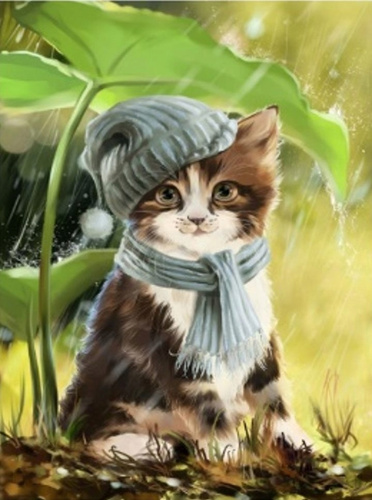 Malowanie Po Numerach Kotek W Czapce Pod Liściem 50X40 Z Ramą