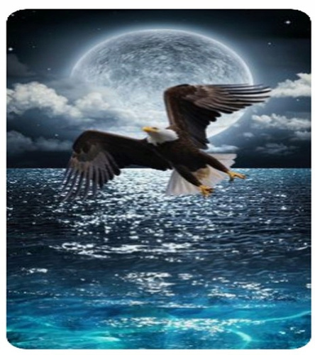 Diamentowa Mozaika Haft Diamentowy Orzeł I Księżyc Nad Morzem 80x40cm
