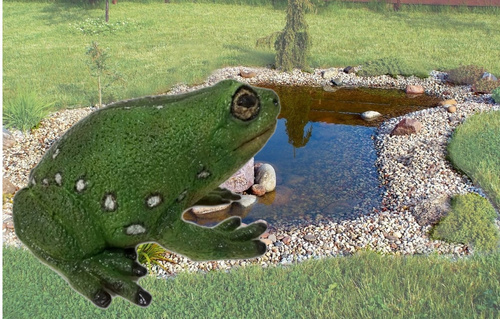 Żaba Drzewna Zielona 22 Cm Długości