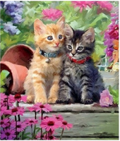 Malowanie Po Numerach Słodkie Kotki Z Obrożami W Ogrodzie 40x50 Z Ramą