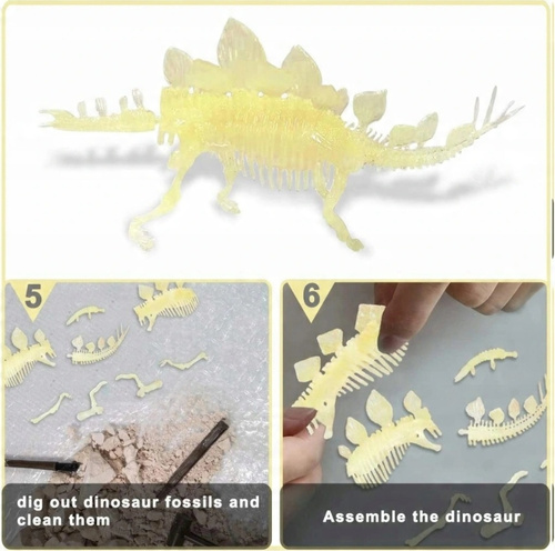 Skamielina Fluor Dinozaur Szkielet Stegozaur 3D