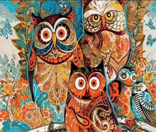 Malowanie Po Numerach Sowa 40X50