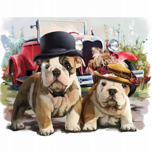 Malowanie Po Numerach Buldogi Psy W Kapeluszach 50X40 Cm Z Ramą Kreatywne