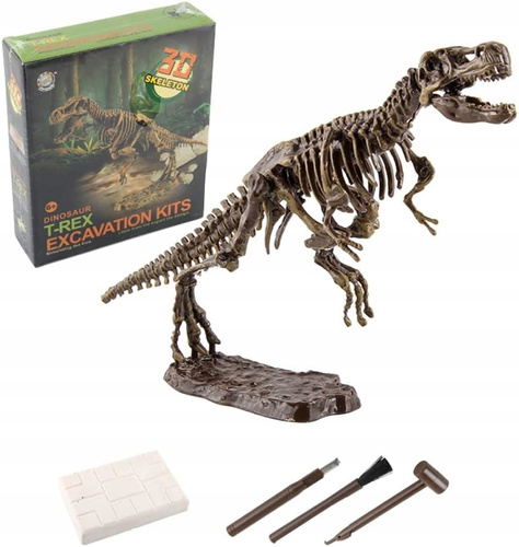 Skamielina Dinozaura T-Rex Do Odkrycia Przez Małych Archeologów Dla Dzieci