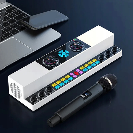 Bezprzewodowy Głośnik Karaoke Bluetooth Karta Dźwiękowa Z Dwoma Mikrofonami