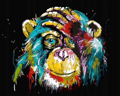 Malowanie Po Numerach Kolorowa Małpa 50X40 Cm Na Ramie Kreatywne