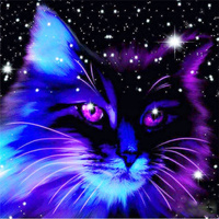 Mozaika Diamentowa 7d Haft Diamentowy Mistyczny Kot Gwiazdy Noc 30x30