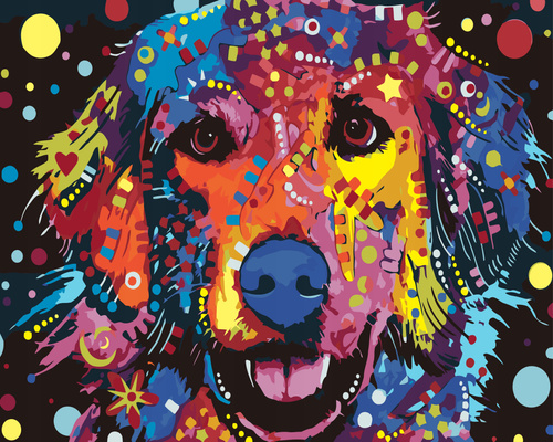 Malowanie Po Numerach 50X40 Cm Kreatywne Z Ramą Pies Kolorowe Wzory