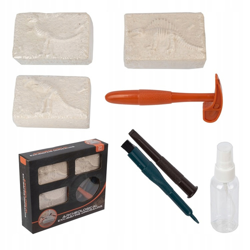 Skamielina Zestaw Do Odkrywania 3 Szkielety Dinozaurów Do Wydobycia