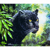 Malowanie Po Numerach Puma Kot W Dżungli 40x50 Cm