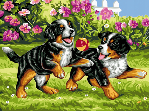 Malowanie Po Numerach Psy Zabawa Z Piłką 40x50