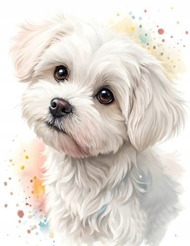 Diamentowa Mozaika Pies Maltańczyk Portret 30x40 Cm Kreatywne Diamenty