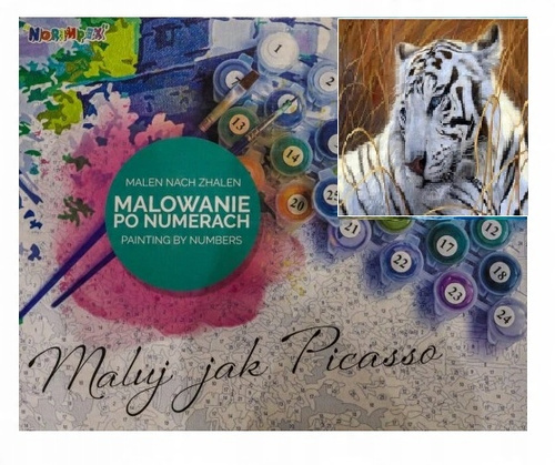Malowanie Po Numerach Biały Tygrys 50X40 Cm Na Ramie
