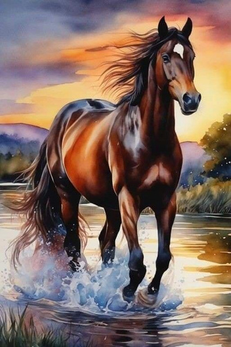 Malowanie Po Numerach Koń Biegnący Strumieniem 50x40 Z Ramą
