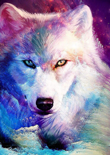 Malowanie Po Numerach 40 X 50 Cm Wilk Biały Cienie