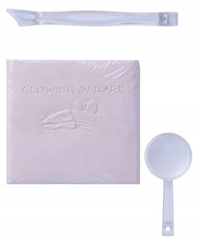 Skamielina Fluor Dinozaur Szkielet Stegozaur 3D