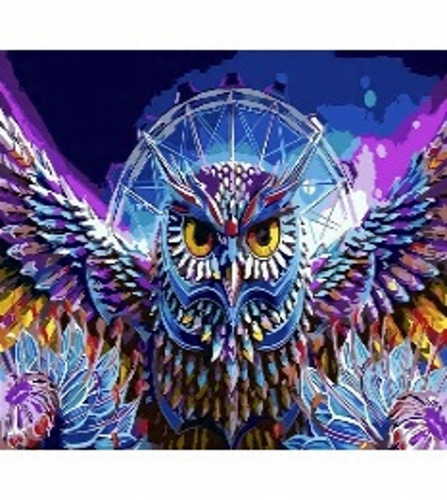 Malowanie Po Numerach Kolorowa Sowa 50X40 Cm Z Ramą Kreatywne