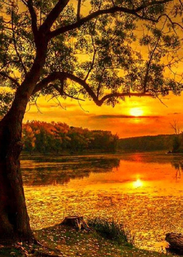 Diamentowa Mozaika Zachód Słońca Nad Moczarami 30x40 Cm Kreatywne Diamenty