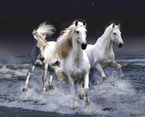Diamentowa Mozaika Haft Diamentów Białe Konie Woda 30X40 Cm Kreatywne Diamenty