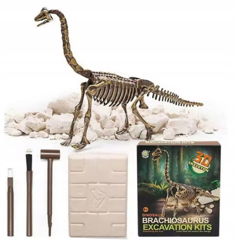 Skamielina Dinozaura Diplodok Do Odkrycia Przez Małych Archeologów