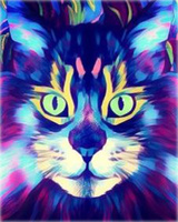Malowanie Po Numerach Neonowy Kot 40X50 Cm Na Ramie Kreatywne