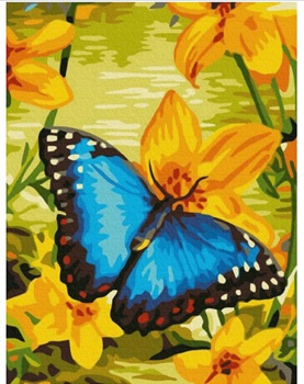 MALOWANIE PO NR 30X40 CM MOTYL NA ŻÓTYCH KWIATACH PAK 30