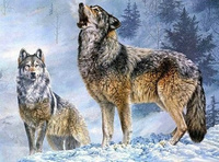 Diamentowa Mozaika Haft Diamentowy Wilki W Śniegu 30X40 Cm Kreatywne Diamenty