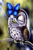 Malowanie Po Numerach Mała Sowa I Motylek 50X40 Cm+ Rama