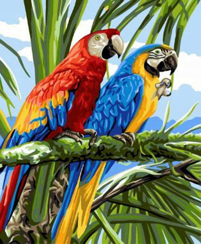Malowanie Po Numerach Kolorowe Papugi Na Gałęzi 40X50 Cm Na Ramie Kreatywne