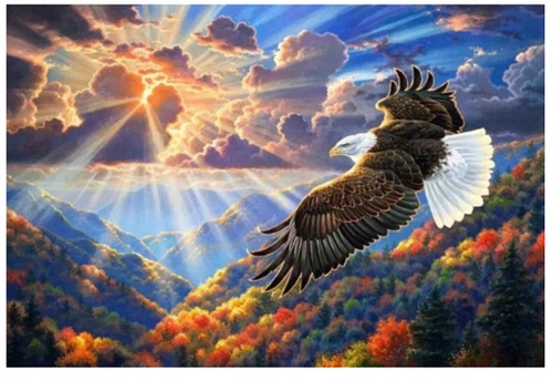 Malowanie Po Numerach Orzeł W Chmurach 50X40 Cm Na Ramie Kreatywne