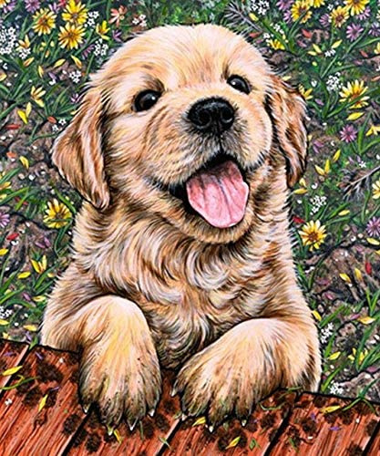 Diamentowa Mozaika Pies Labrador Szczeniak 30x40Cm Kreatywne Diamenty