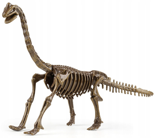 Skamielina Dinozaura Z Modelem Dinozaura Do Złożenia Z Zestawem Narzędzi