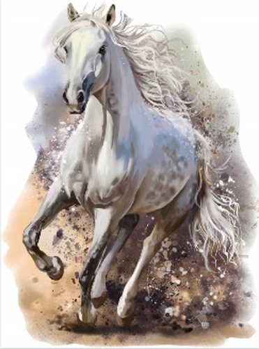 MALOWANIE PO NUMERACH KOŃ W GALOPIE 50x40 CM Z RAMĄ KREATYWNE
