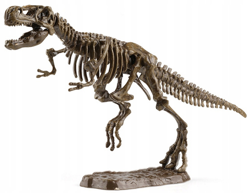 Skamielina Dinozaura Z Modelem Dinozaura Do Złożenia Z Zestawem Narzędzi