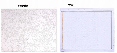 Malowanie Po Numerach 50X40 Cm Kreatywne Z Ramą Papuga W Deszczu