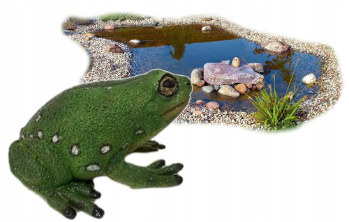 Żaba Drzewna Zielona 22 Cm Długości
