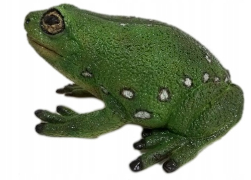 Żaba Drzewna Zielona 22 Cm Długości