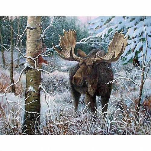 Malowanie Po Numerach Łoś W Lesie 50X40 Cm Na Ramie