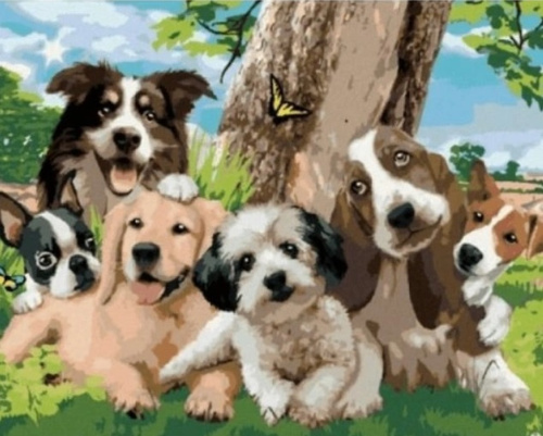 Malowanie Po Numerach Psy Pod Drzewem