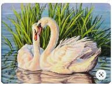 Malowanie Po Numerach Łabędzie, Trzciny 50X40 Cm Na Ramie