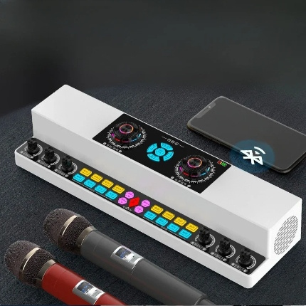 Bezprzewodowy Głośnik Karaoke Bluetooth Karta Dźwiękowa Z Dwoma Mikrofonami