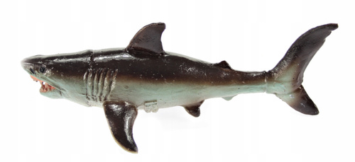 Rekin Żarłacz Biały 18 Cm Długości Ręcznie Malowane