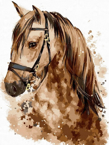 Malowanie Po Numerach Koń Portret 50X40 Cm Na Ramie